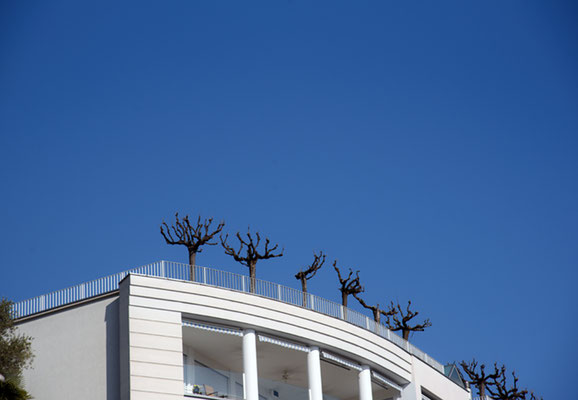 Woche 6 / Terrasse bei Orselina