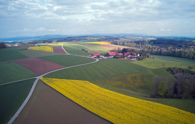 2019, Woche 19, Rapsfelder, Obere Wagenburg