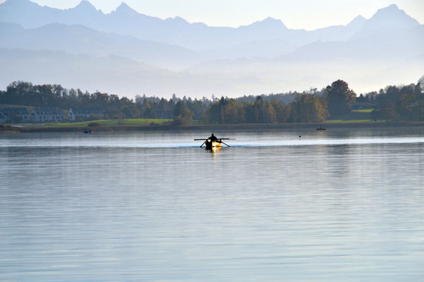 Nr. 244 / 2017 / Pfäffikersee, 4512 x 3008 / JPG-Datei