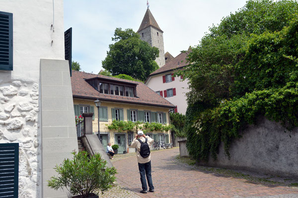 Nr. 169 / 25.05.2014 / Rapperswil /6000 x 4000 / JPG-Datei