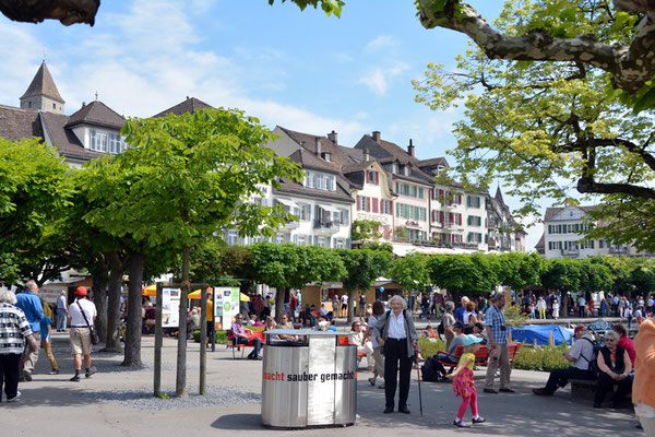 Nr. 154 / 25.05.2014 / Rapperswil /6000 x 4000 / JPG-Datei