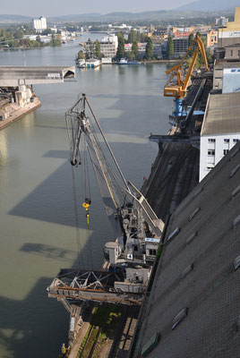 5240 / Woche 40 / Basler-Hafen, Blick vom Siloturm