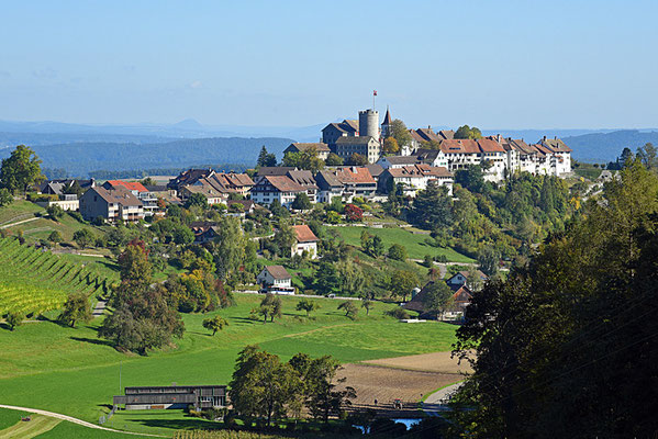 5140 / Woche 40 / Regensberg, Blick von Süden