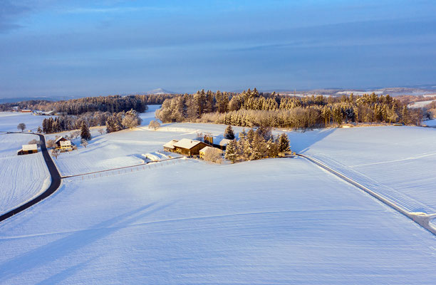 2019, Woche 7, Forbüel bei Brütten