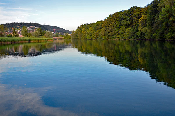 5189 /  Woche 29 / Limmat bei Oetwil