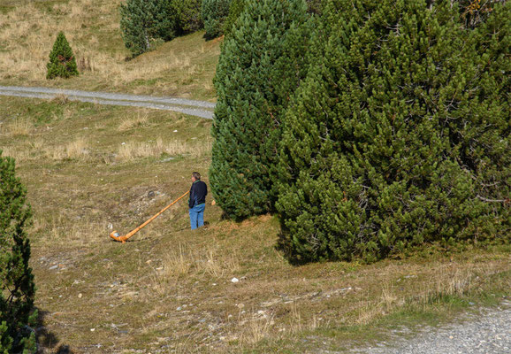 Woche 50 / Alphornbläser