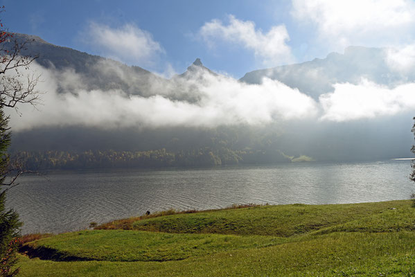 5341 / Wochenbild, Nebel über dem Wägitalersee