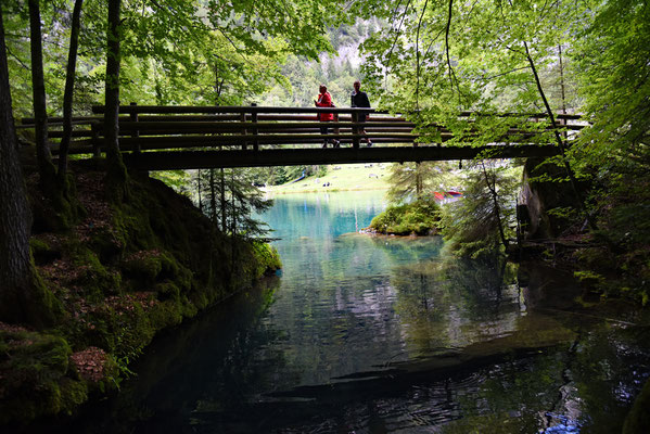 Nr. 335 / 2016 / Blausee / 6016 x 4016 / JPG-Datei