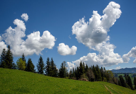 Woche 20 /  Wollkenstimmung bei Trubschachen 