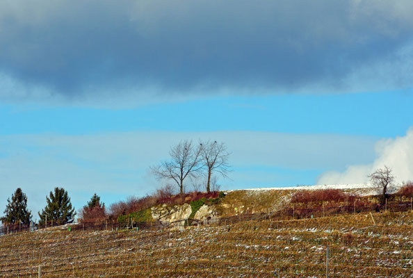 Nr. 5109 / Woche 9 / Meilen, Blick Richtung Nord / 6000 x 4000 / JPG-Datei 