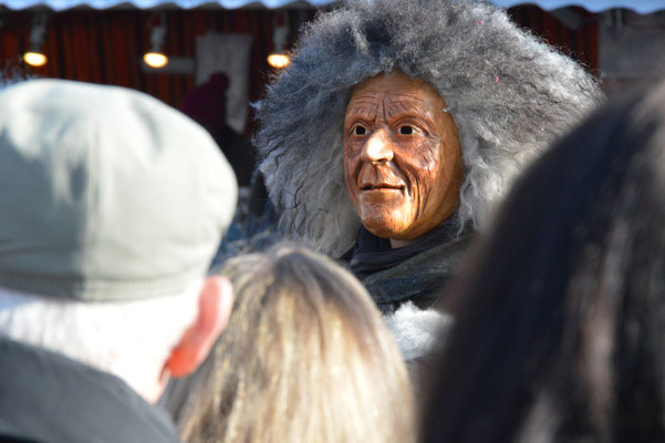 Nr. 1000 / 10.02.13 / Bassersdorf Fastnacht-Umzug / 6016 x 4000 / JPG-Datei