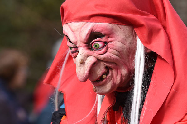 Nr. 1024 / 03.03.19 / Bassersdorf Fastnacht-Umzug / 6000 x 4000 / JPG-Datei