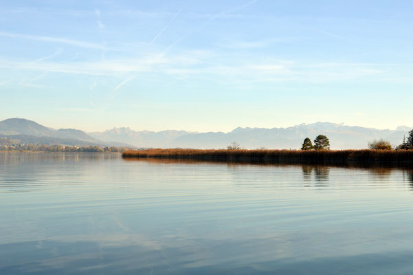 Nr. 242 / 2016 / Pfäffikersee, 4512 x 3008 / JPG-Datei