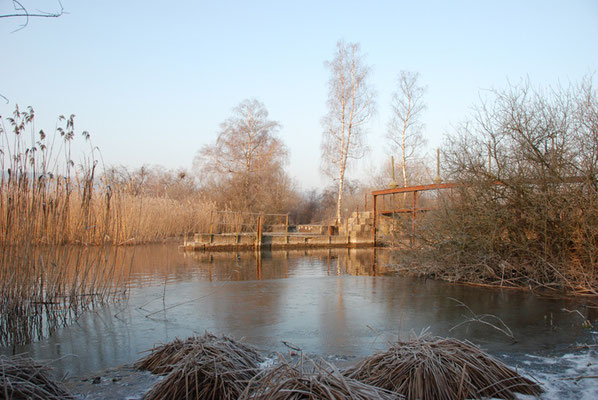 Nr. 248 / 22.02.12 / Glatt Auslauf Greifensee Schwerzenbach / 3872 x 2592 / JPG Datei