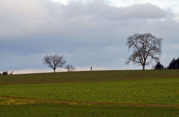 Nr. 5110 / Woche 10 / Glattbrugg, Chrattenweg, Blick  Richtung Nord