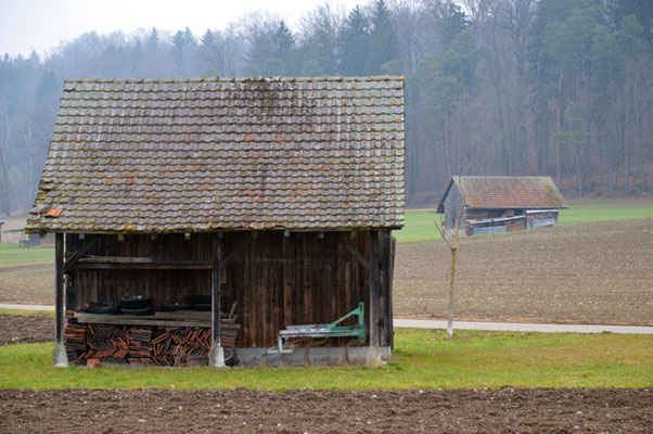 Nr. 5009/ Woche 9 / Bassersdorf, Holzscheunen, Blick von der allten Klotenerstrasse, Blick Richtung Muetliken / 6000 x 4000 / JPG-Datei 