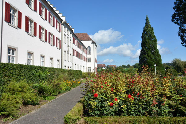 Nr. 3005 / 17.08.2014 / Kloster Rheinau / 6000 x 4000 / JPG-Datei