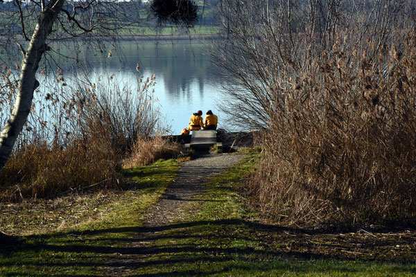 Nr. 250 / 2015 / Pfäffikersee, 4512 x 3008 / JPG-Datei