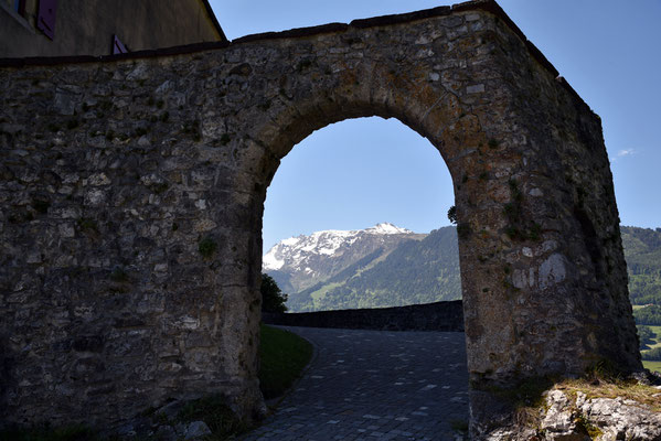 Nr. 2650 / 2017 / Schloss Sargans / 6000 x 4000 / JPG-Datei