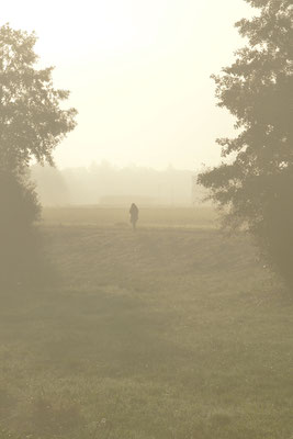 5243 / Woche 43 / Morgennebel bei Regensdorf