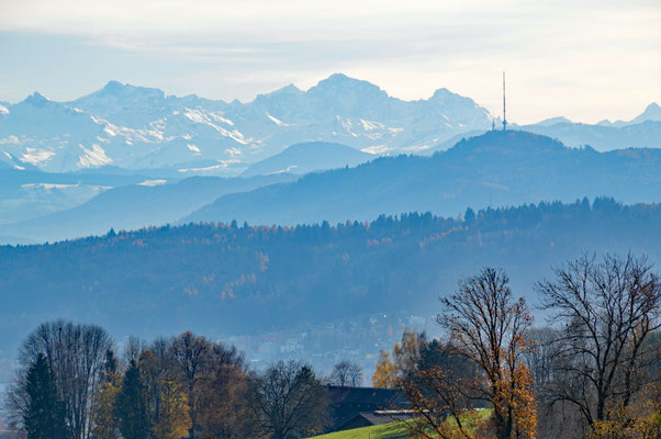 5248 / Woche 48 /  Blick von Regensberg, Richtung Alpen