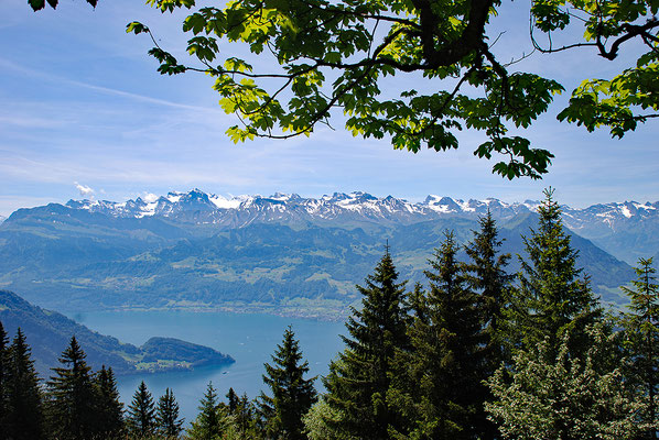 Nr. 355 / 2011 / Rigi 3872 x 2592 / JPG-Datei