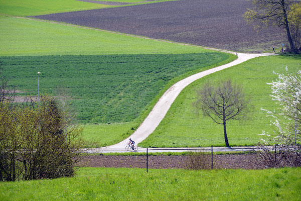 5173/ Woche 13 / Wallisellen, Blick Richtung Süden