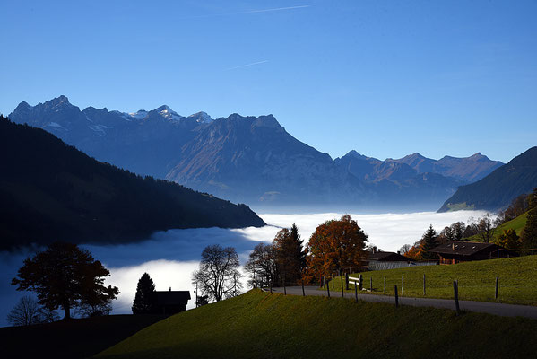 5144 / Woche 44 / Blick von Spiringen, Nebelmeer über Altdorf