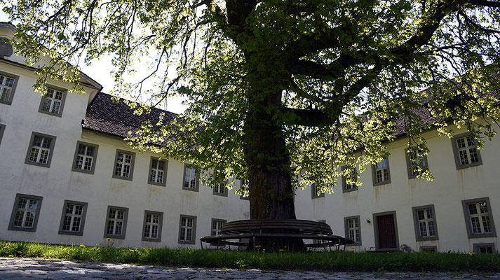 Nr. 3036 / 2016 / Kloster Einsiedeln / 6000 x 4000 / JPG-Datei