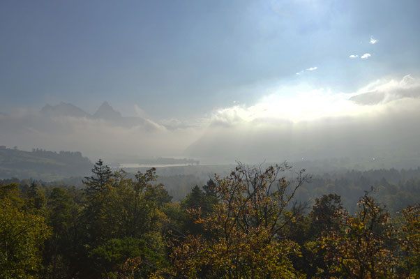 5347 / Wochenbild, Nebelstimmung über dem Lauerzersee