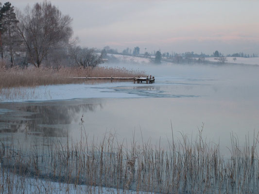 Nr. 235 / 12.01.10 / Pfäffikersee, Blick Richtung Westen / 3872 x 2592 / JPG-Datei