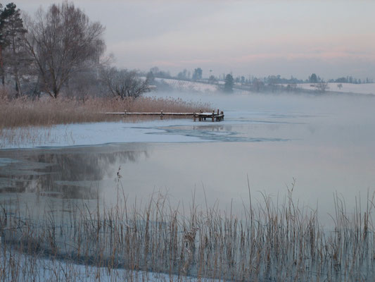 Nr. 235 / 12.01.10 / Pfäffikersee, Blick Richtung Westen / 3872 x 2592 / JPG-Datei