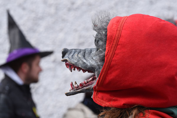 Nr. 1029 / 03.03.19 / Bassersdorf Fastnacht-Umzug / 6000 x 4000 / JPG-Datei