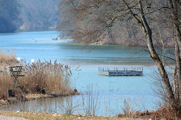 Nr. 5114 / Woche 14 / Rhein bei Neuhus, Gde. Glattfelden, Blick Richtung Nord-West