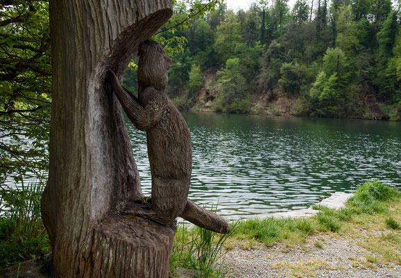 Woche 18 /  Holzskulptur am Rhein
