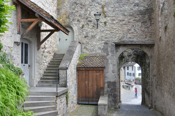 Nr. 2535 / 25.05.2014 / Schloss Rapperswil / 6000 x 4000 / JPG-Datei