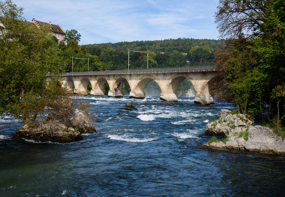 Woche 40 / Oberhalb Rheinfall