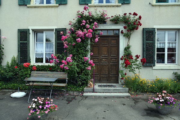 Nr. 131 / 13.06.2015 / Stein am Rhein/ 6016 x 4016 / JPG-Datei