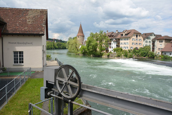 Nr. 121 / 29.05.2014 / Bremgarten /6000 x 4000 / JPG-Datei