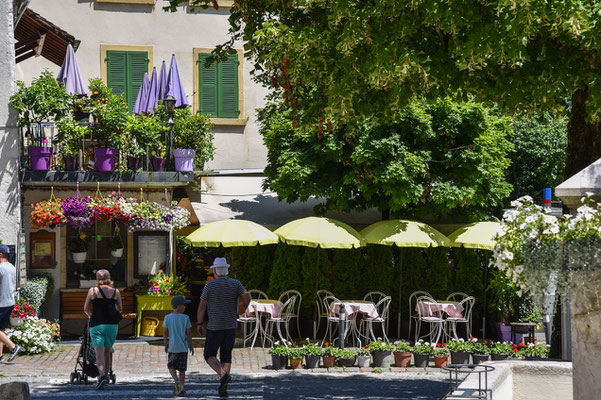 Woche 27, Gartenwirtschaft in Erlach am Bielersee