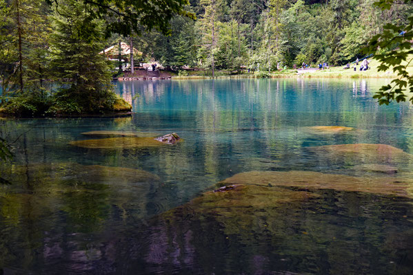 Nr. 341 / 2016 / Blausee / 6016 x 4016 / JPG-Datei