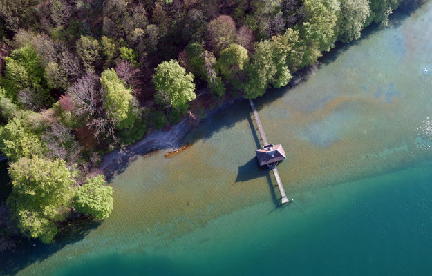 2019, Woche 18, Drohnenaufnahme Halbinsel Au, Zürichsee