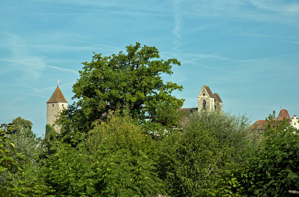 5340 / Wochenbild, Blick auf Schlossturm Rapperswil