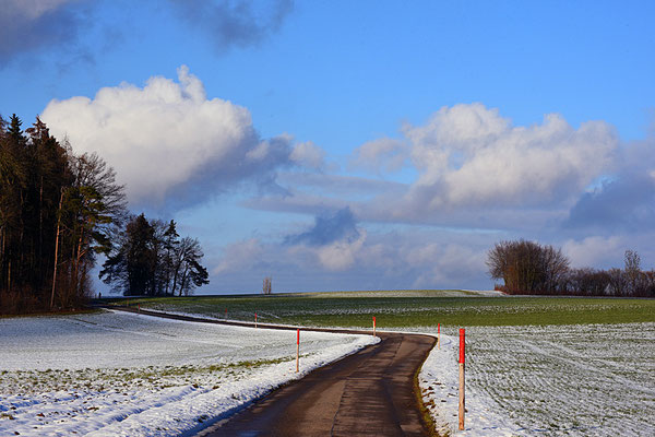 5164 / Woche 4 /  Gerlisberg, Blick Richtung Norden