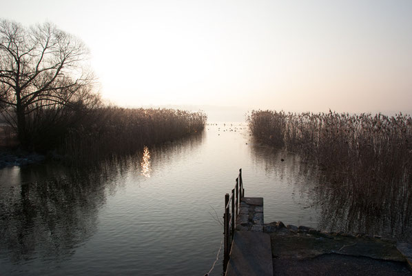 Nr. 243 / 22.02.12 / Glatt Auslauf Greifensee Schwerzenbach / 3872 x 2592 / JPG Datei