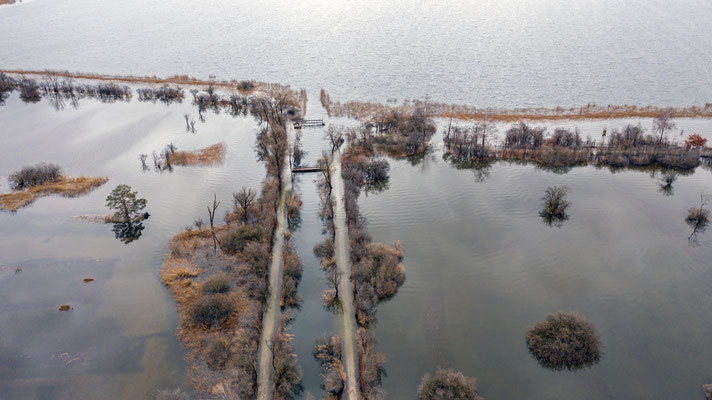 Woche 6, Hochwasser im Greifensee