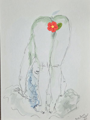41, Original ohne Blume