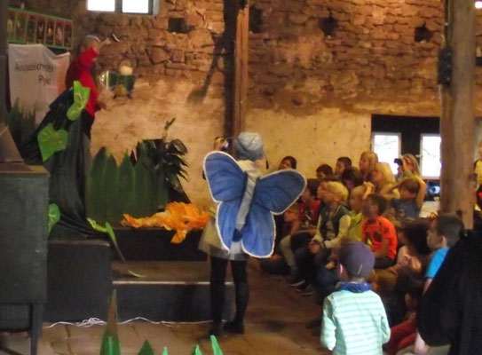 Linus Lieblich, ein Schmetterling vom Stamm der Bläulinge 