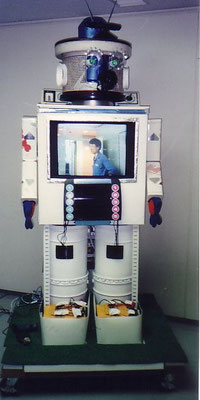 ソーラーガボタン
