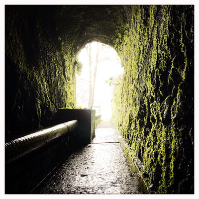 Madeira Wanderung bei Calheta ins Rabacal zu den 25 Fontes Wasserfällen im Nebel Wolken durch den Tunnel 